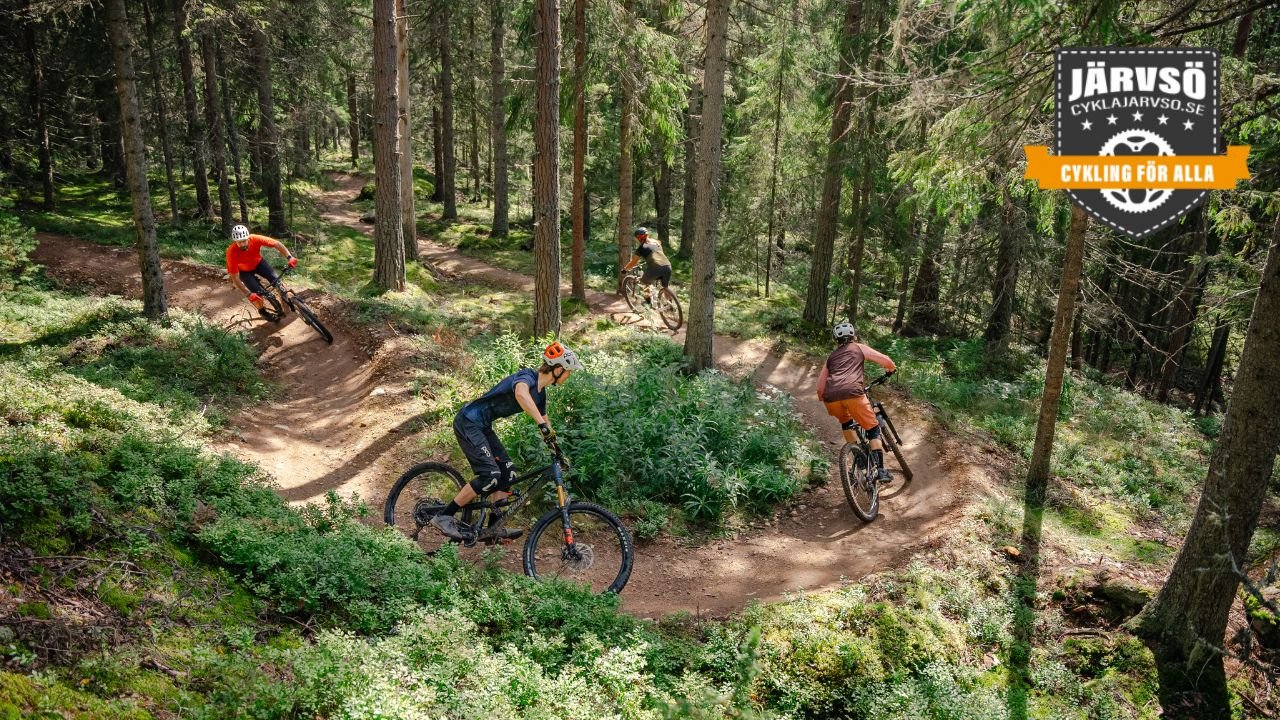 Trail biking in Järvsö