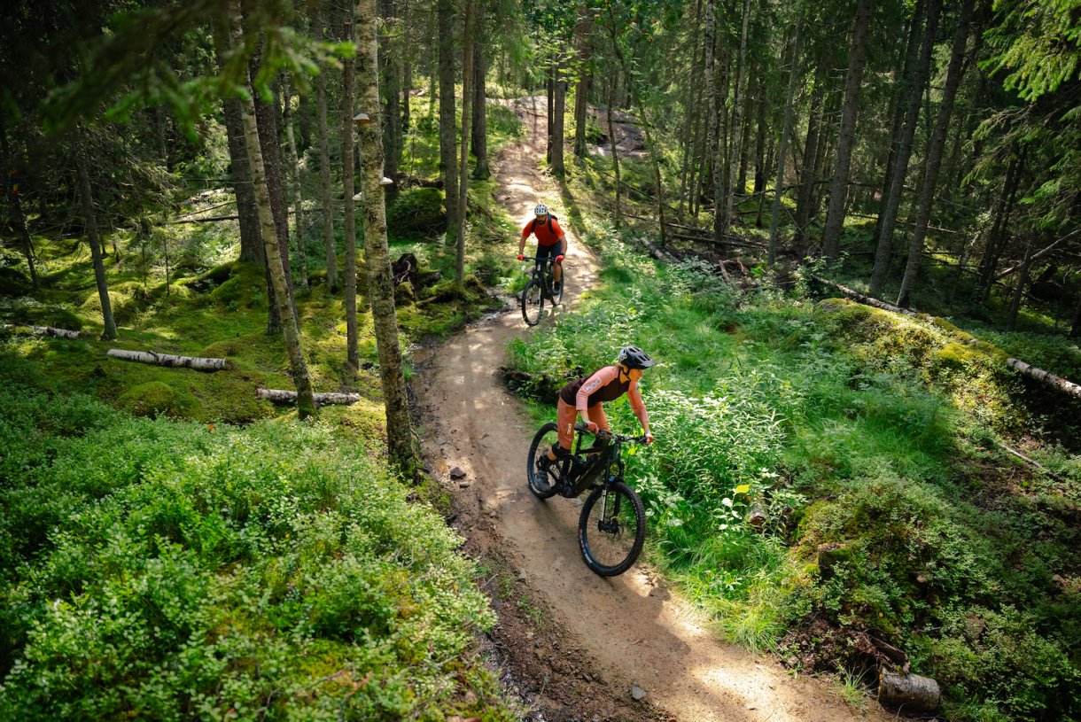 Stigcykling mountainbike Järvsö.